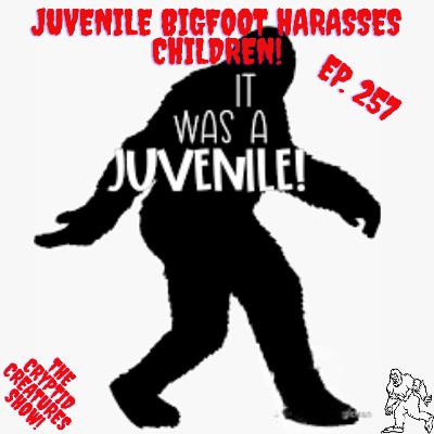 Juvenile Bigfoot Harasses Children! EP. 257