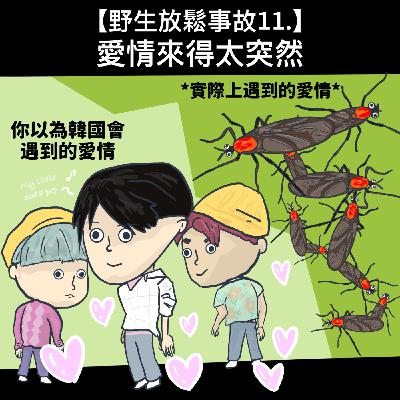野生放鬆事故11. 愛情來得太突然