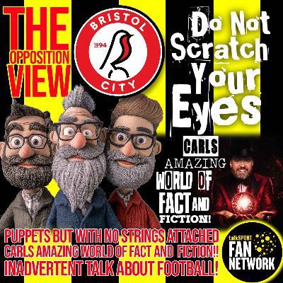 THE OPPOSITION VIEW - Bristol City (Home) THE OPPOSITION VIEW - Bristol City (Home)