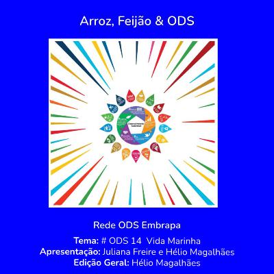 # ODS 14 - Proteger a Vida Marinha