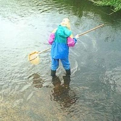 Nets, boots, macroinvertebrates, action: and an invition to a field trip 6/29/24 9:00AM in Danville Vermont