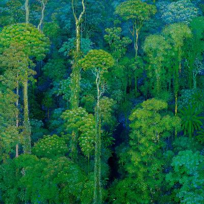 [051] Legend Of The Deep Forest - Part III