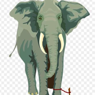 تقوية وتعزيز سلوك الطفل الايجابي