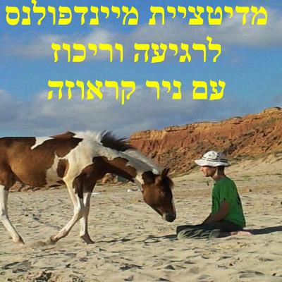 מדיטציית מיינדפולנס לרגיעה וריכוז (10 דקות) מדיטציית מיינדפולנס לרגיעה וריכוז (10 דקות)