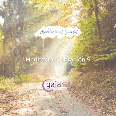 Meditación Vibración 9 Meditación Vibración 9