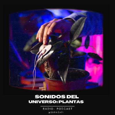 Plantas: sonidos del universo Plantas: sonidos del universo