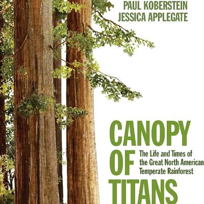 Book author interview: Paul Koberstein explains the connection between great forests, salmon, beavers and climate change - yes, everything is connected Book author interview: Paul Koberstein explains the connection between great forests, salmon, beavers and climate change - yes, everything is connected