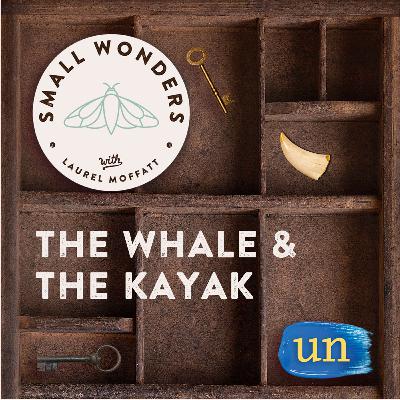 The Whale and the Kayak