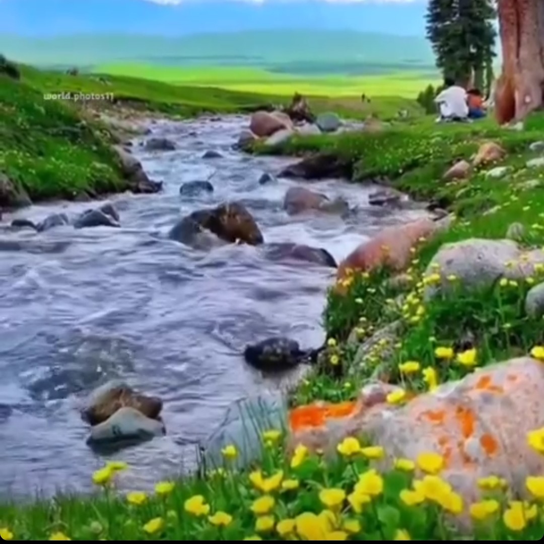 ارتقای سلامتی و ایمنی بدن