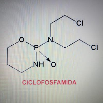 Algo más sobre la ciclofosfamida