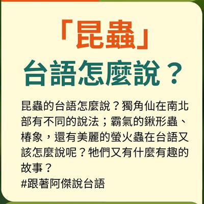 EP41【跟著阿傑說台語】昆蟲 EP41【跟著阿傑說台語】昆蟲
