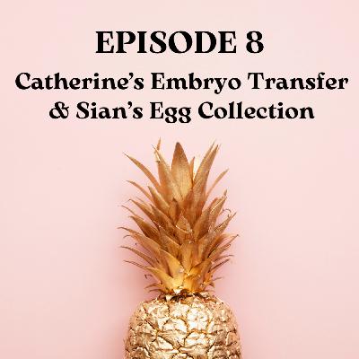 Catherine's Embryo Transfer & Sian's Egg Collection