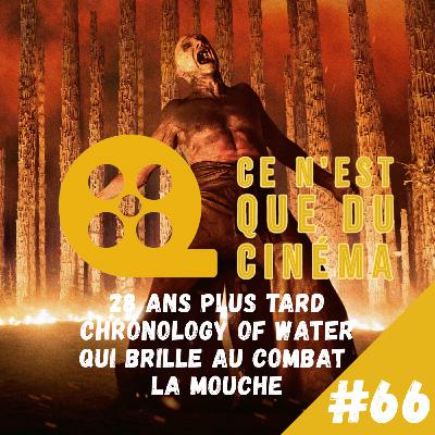 🧟‍♀️ 28 YEARS LATER, THE CHRONOLOGY OF WATER & LA MOUCHE