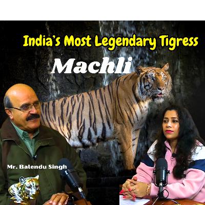 Machli: The Queen of Ranthambore & Her Wild Legacy
