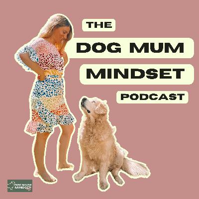 37. A Mini Masterclass About Keeping Yourself Safe Around Other People’s Dogs