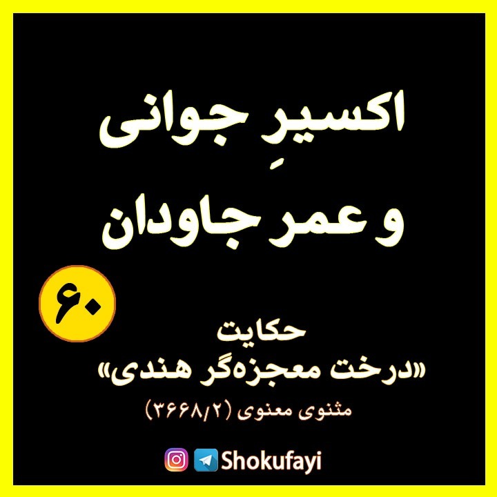 اکسیر جوانی و عمر جاویدان