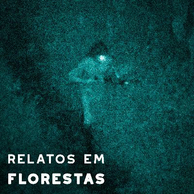 r/Askreddit: Relatos assustadores em florestas