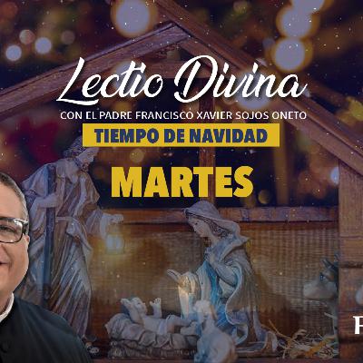 Lectio Divina de hoy martes 30 de diciembre