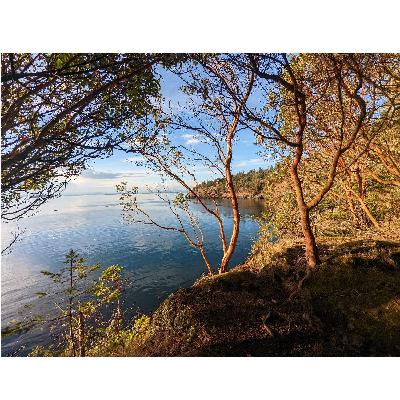 The San Juans of the Salish Sea The San Juans of the Salish Sea