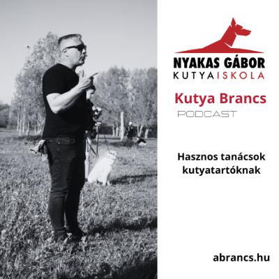 Kutyatartás hasznos tanácsok; Kutya brancs Nyakas Gáborral Kutyatartás hasznos tanácsok; Kutya brancs Nyakas Gáborral