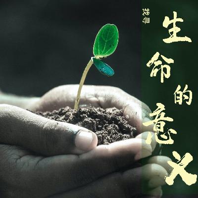 致女儿十五岁生日