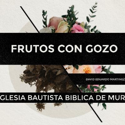 FRUTOS CON GOZO