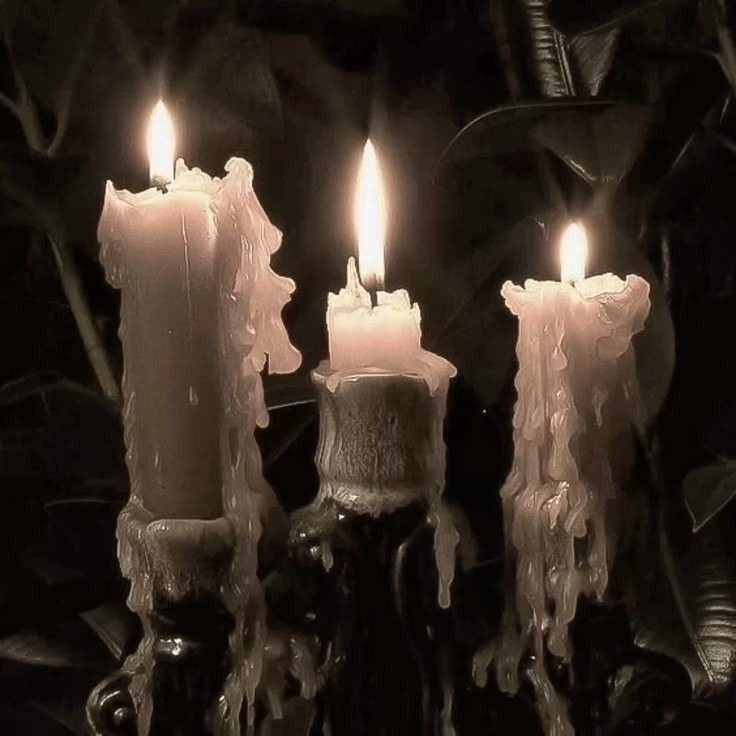 رویاهای مدفون فصل چهاردهم