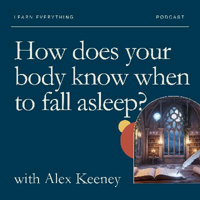 How does your body know when to fall asleep?