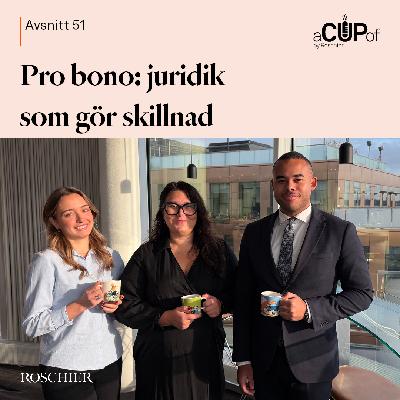 Pro bono: juridik som gör skillnad Pro bono: juridik som gör skillnad