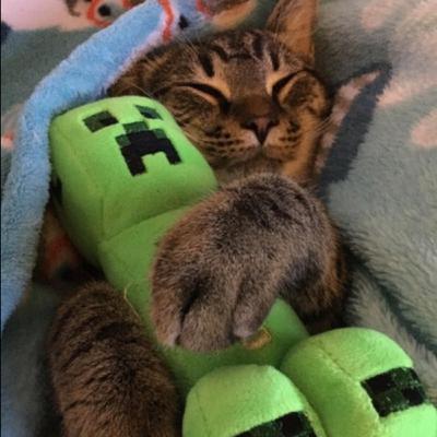 cheesbugr