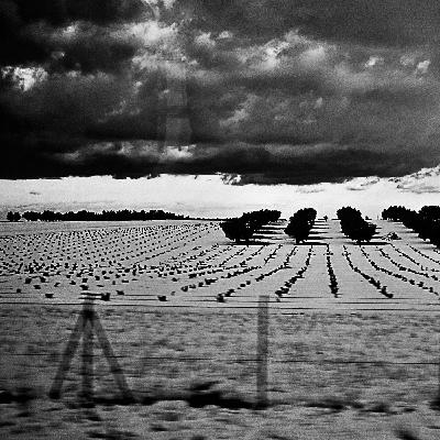 Tierra de Campos • David Trueba Tierra de Campos • David Trueba