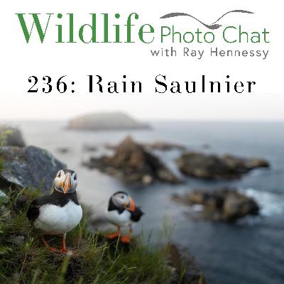 236: Rain Saulnier