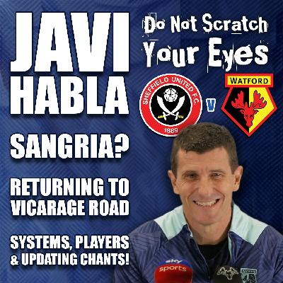 JAVI HABLA! SUFC v WFC