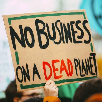 When nature has a voice in business