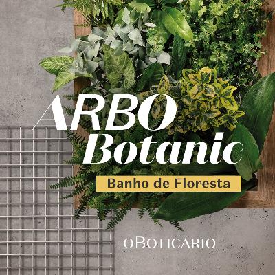 Os Sons da Floresta (ASMR)
