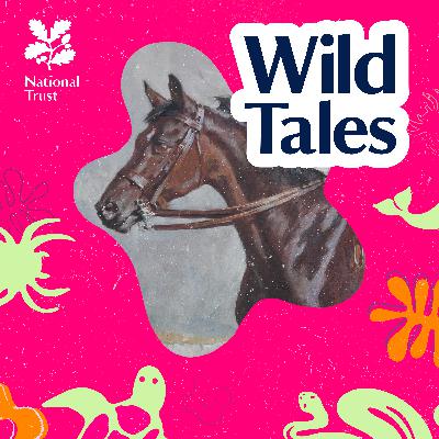 Warrior the War Horse | Survival Against the Odds