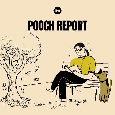 Surf's up in SoCal and Miami puts dogs to work with new Covid-19 measures Surf's up in SoCal and Miami puts dogs to work with new Covid-19 measures