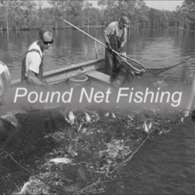 History of Pound Net Fishing with CJ Belch History of Pound Net Fishing with CJ Belch