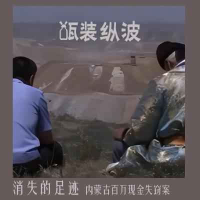 14.消失的足迹：内蒙古百万现金失窃案