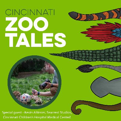 Cincinnati Zoo and the Seacrest Studios