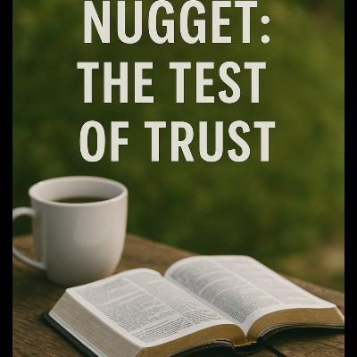 Wednesday's Nugget - November 12, 2025