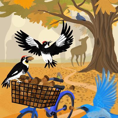 FE6.7 - Critical Mast