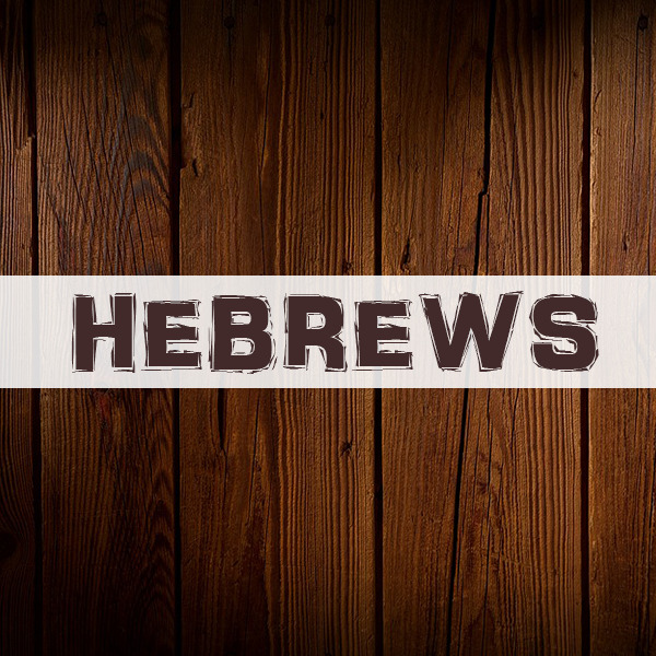 Purpose of Suffering | Hebrews 2:10-18