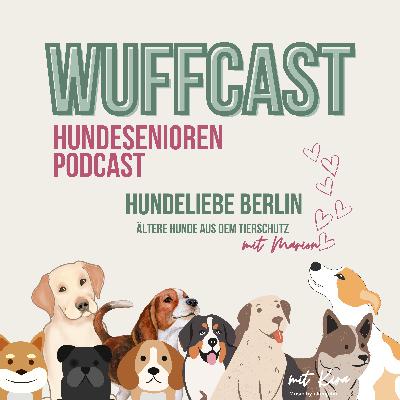 ÄLTERE HUNDE AUS DEM TIERSCHUTZ - mit Marion von hundeliebe.berlin