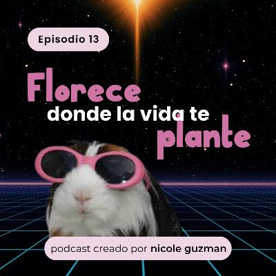 Florece donde la vida te plante