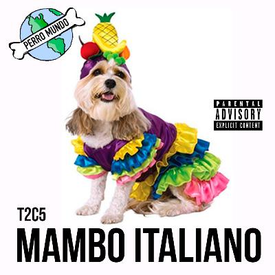PERRO MUNDO MAMBO ITALIANO T2C5