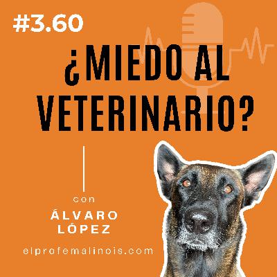 3.60 ¿Tu perro tiene miedo al veterinario? Esto es lo que puedes hacer