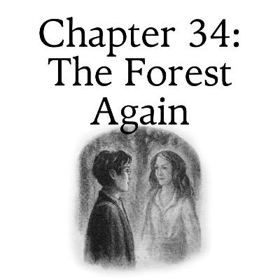 7.34 The Forest Again 7.34 The Forest Again