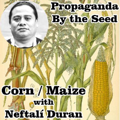 Corn with Neftalí Duran
