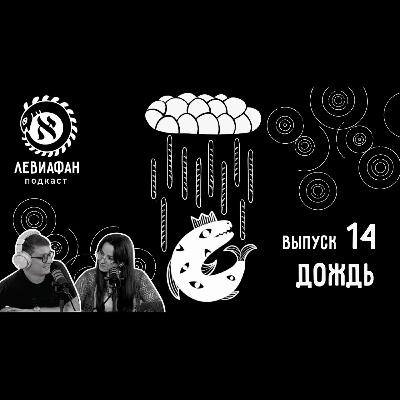 #14 Дождь